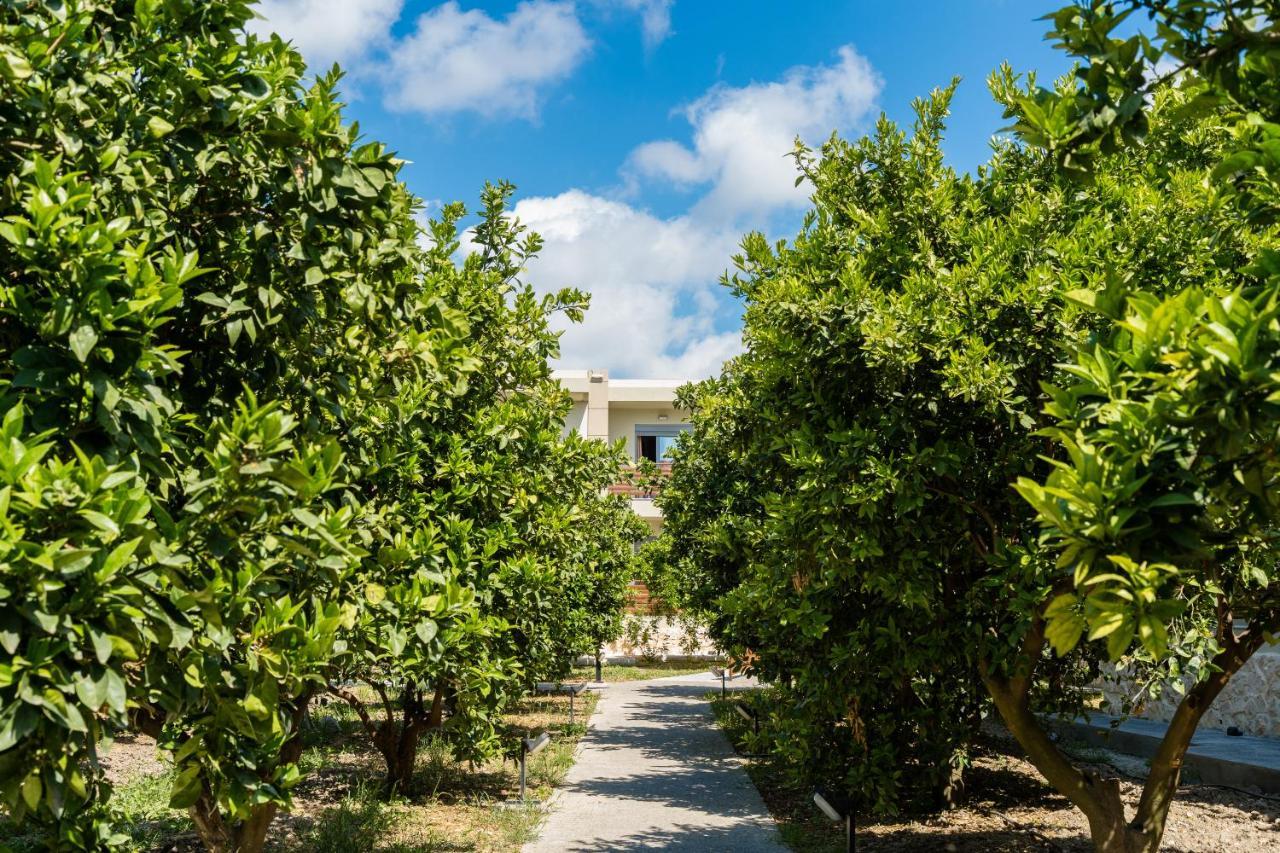 Ilyssion Holidays Hotel Ialysos  Dış mekan fotoğraf